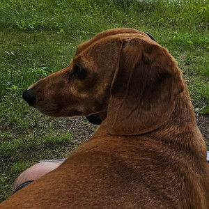 Meet your Posher, Matt